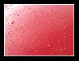 Photo 2010-2013 - Carrera 3.0 1977_670.jpg
